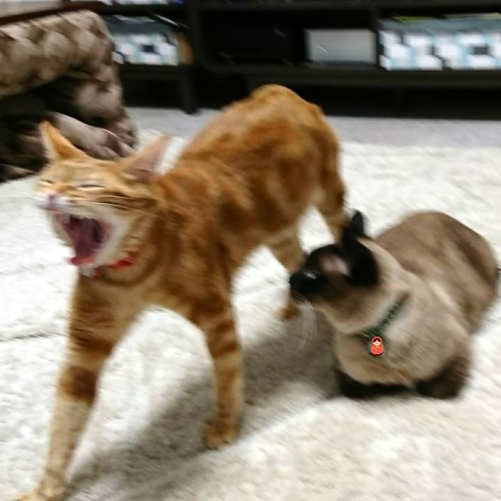 Be1ff8c2 e325 48ee a3f1 3f618ba982fe 1524140695505