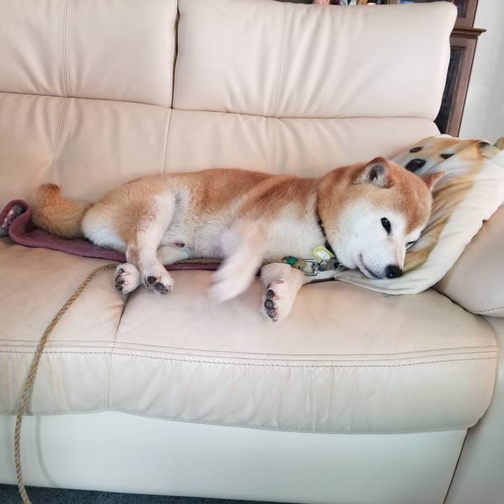 Be201a6a 7966 4539 84c7 04dae040adf9 1656216778415