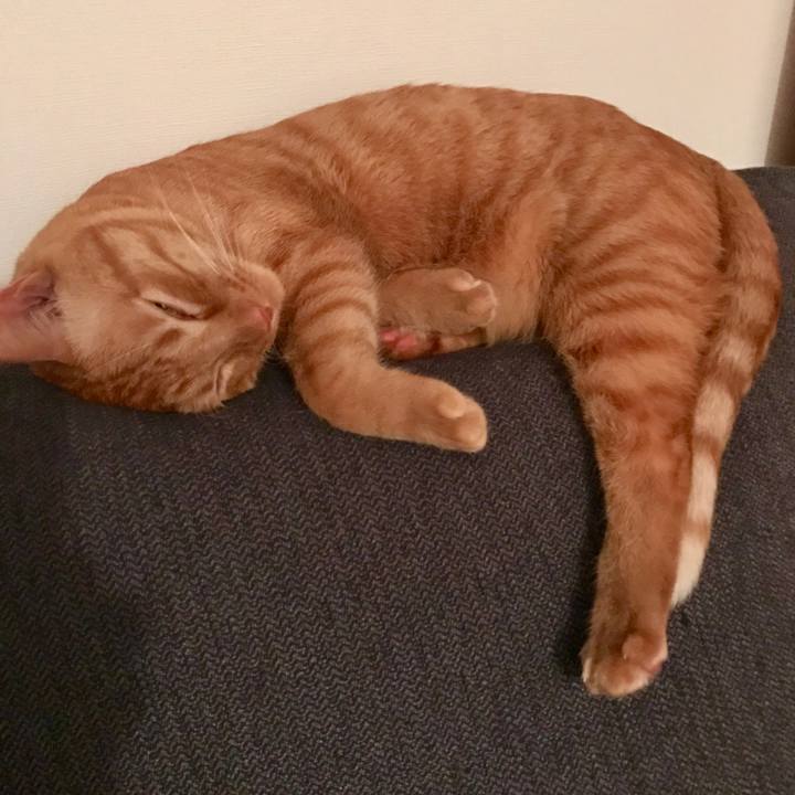 Be201b1f 28c1 4b5e a6cb c6da1f163055 1612964847196