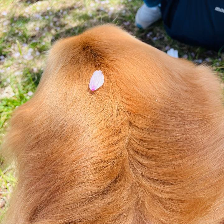 Be205271 2114 445c b943 94069213aae7 1713357751987