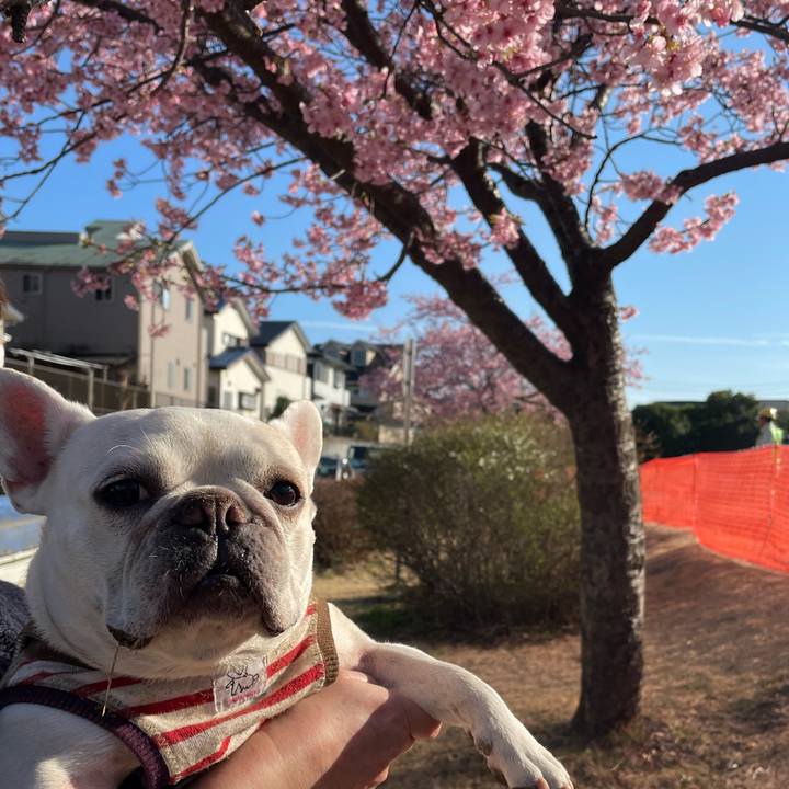 Be20834c 0eb2 4c54 b655 a9f2d3bf2006 1741734673118