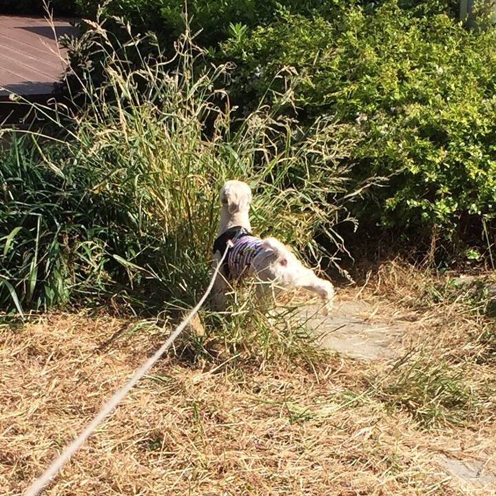 Be20a741 789e 4d1c 964f 6e2350f2142b 1540709421748