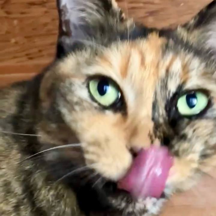 Be20c341 7fdd 42fe b29a 935ec478f459 1731466180719