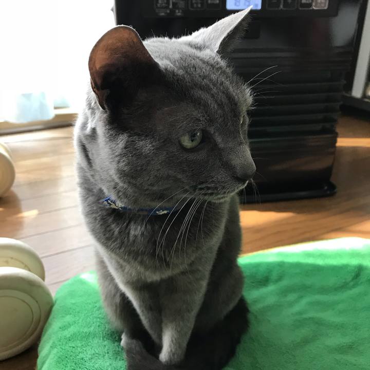 Be20d5e2 0501 4571 adaf d558d20c2eb1 1523319234784