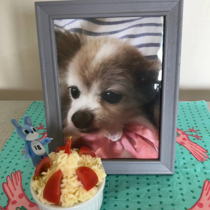 Be20ec30 7a9d 402d 9d6d a086fb12da10 1558831123955