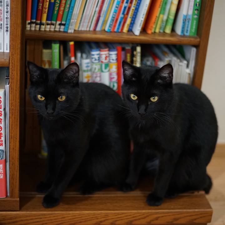 Be20f29f 8405 42f4 89da 27aa7153e3c9 1522281362960