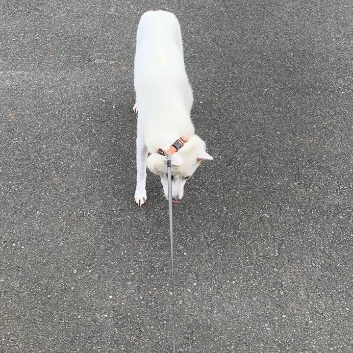 Be2114f3 2127 4bb5 8be5 0ec073552acc 1571015537794