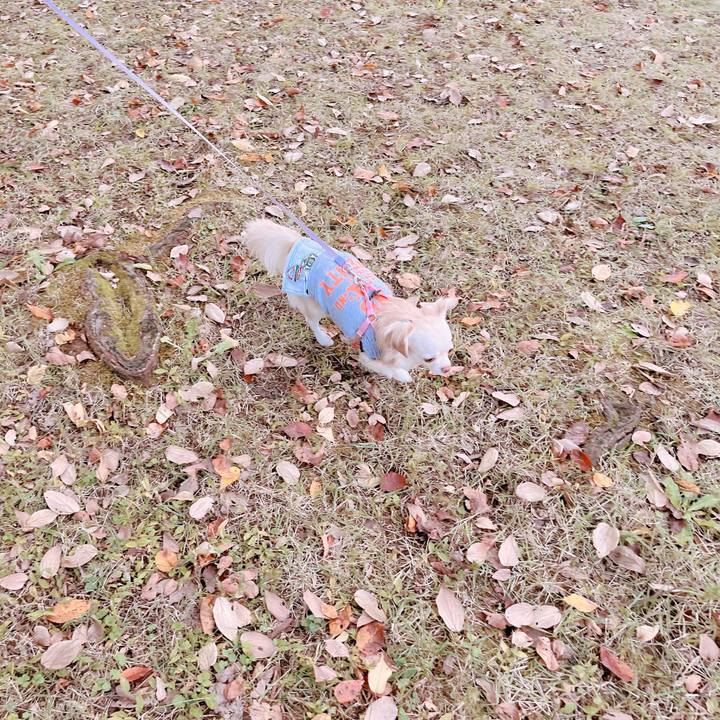 Be21256f f98a 4faf 9f41 fb90856851d9 1667134620931