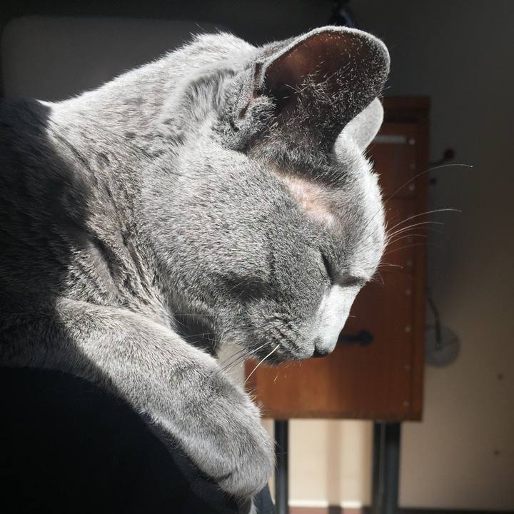 Be212e77 b82f 4a29 a620 e68e28c9170a 1546816899766