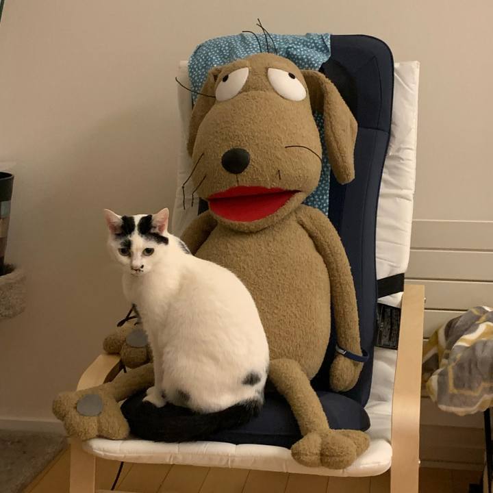 Be213855 14ac 4380 9f77 67a7a0e161d3 1674172567559