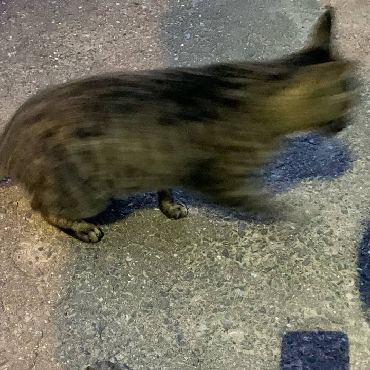 Be216c17 a038 48a3 8f26 f6e1ef455f60 1653764782777