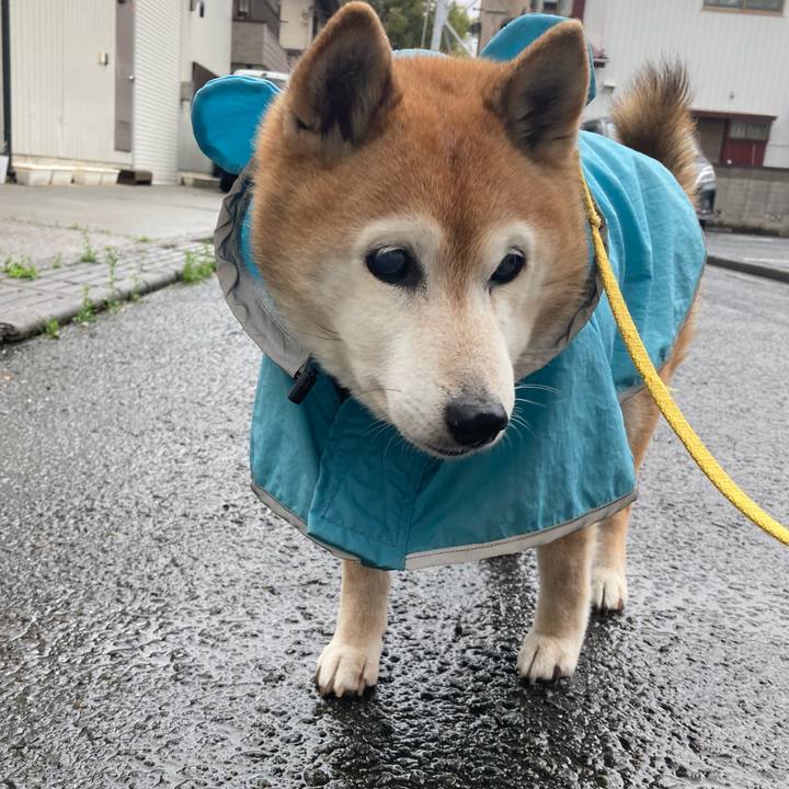 Be218fa7 5765 443e 97dc 292c1f982cd3 1775028440832