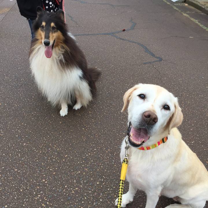 Be219ba1 c7e6 43b9 8411 434cfa71dc8b 1510105024508