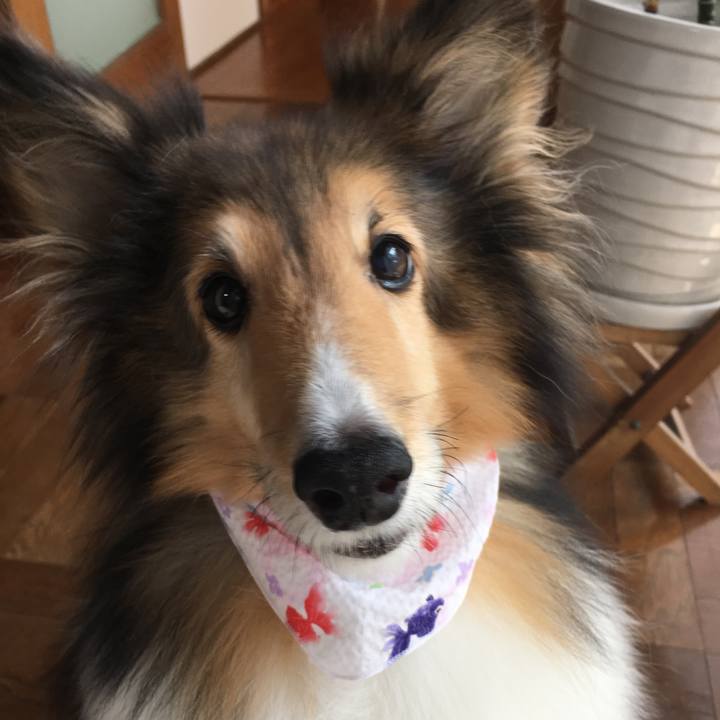 Be2210e7 00d8 401c 8161 dc87a5db65be 1628823308215