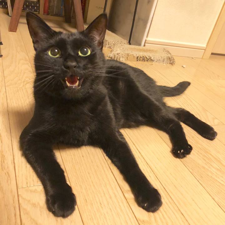 Be228780 7338 494a a311 dd4a69f4c02b 1579269260924