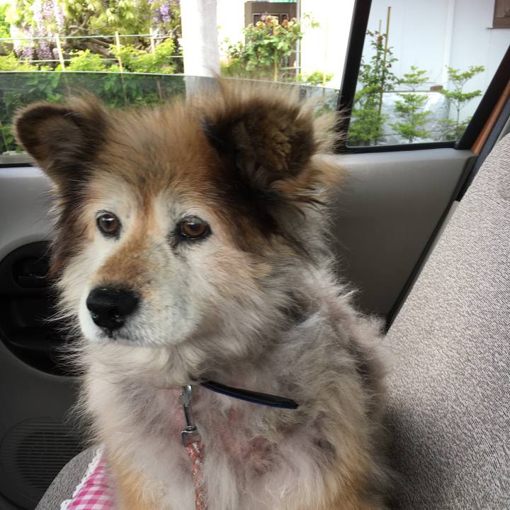 Be22965b acd7 4b95 84cb 0533e667cf6d 1569000835767