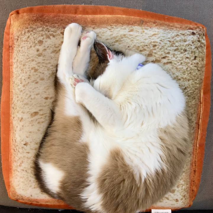 Be22ce2d c0f8 485c 956a bcde59e32ec9 1552185662122