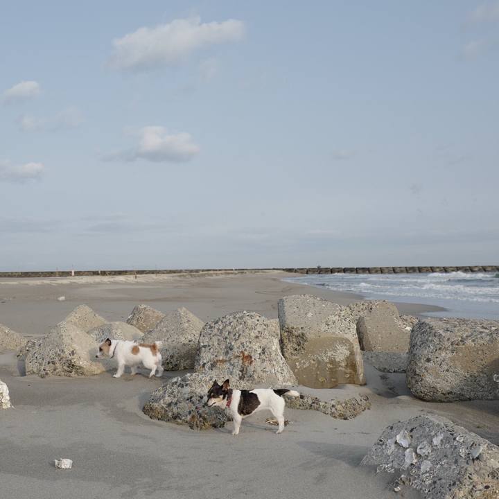 Be22f0f6 8371 42c7 ae64 6a45d42ff780 1553832754926