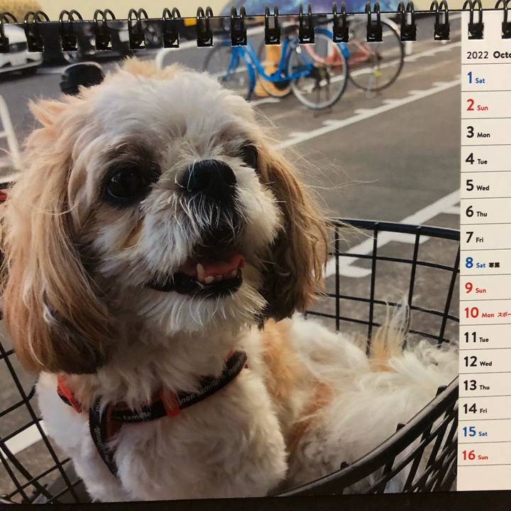 Be230120 94a3 45fd a361 32e6a0990323 1664574460156