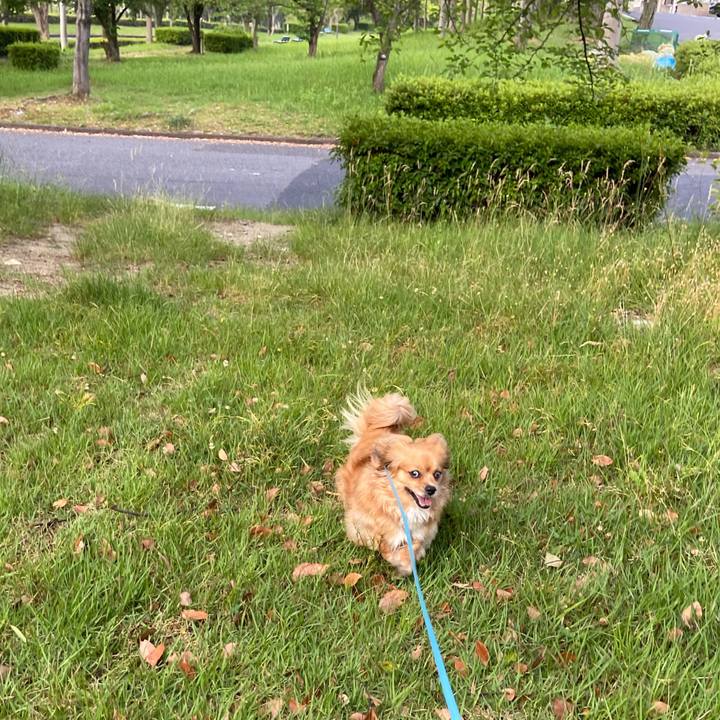 Be2334f2 fae3 4dcc 8de3 1da8ae9d8872 1591566028882