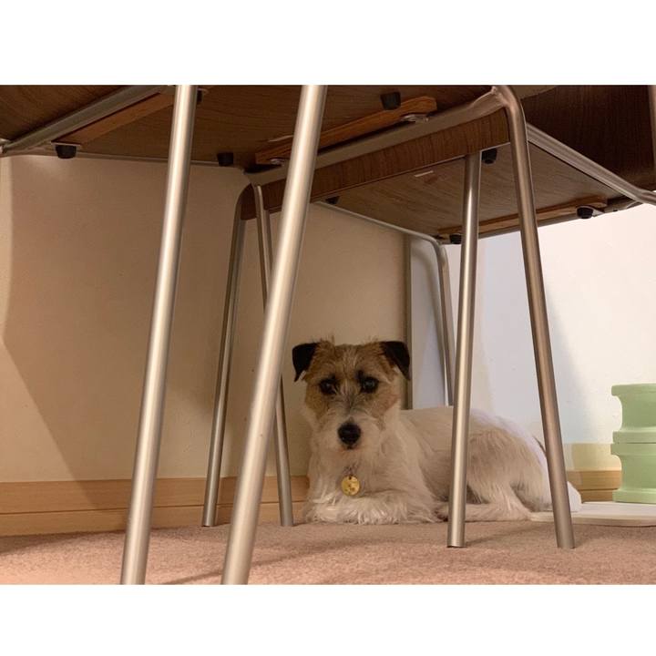 Be233a16 e068 47b8 8b4b c3d79088d26a 1590747948031