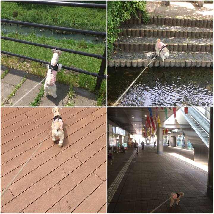 Be233f79 5609 4d4b 9d34 6a4d59f78ba8 1556863898731