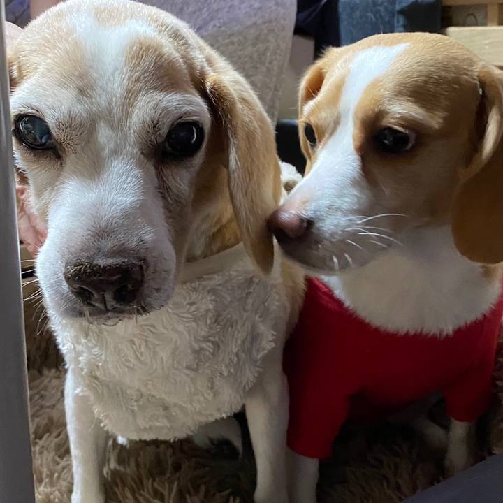 Be234279 fbba 4ec1 9392 189f865eb2be 1636945094840