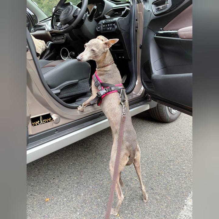 Be2342d4 63b1 4765 85d6 291a7f60eb8a 1761379481480