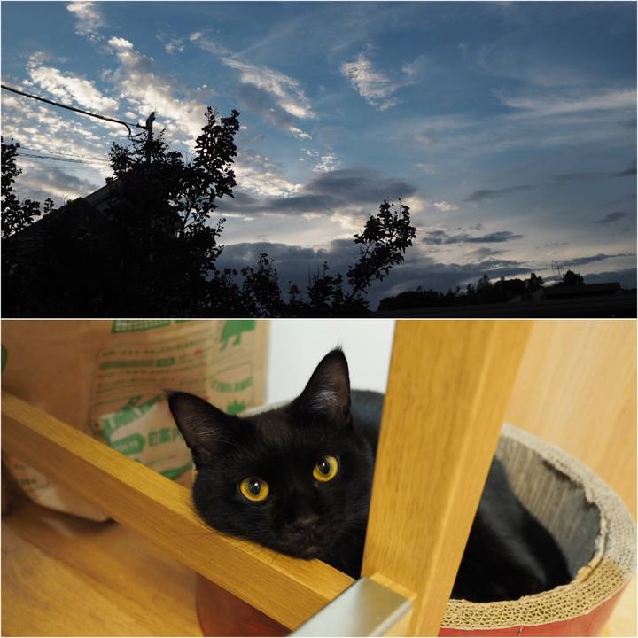 Be23bc66 85d3 46be 8396 c206a73fc2c3 1534464346697