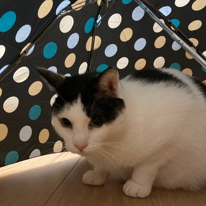 Be23c661 709e 4975 a076 0e064cf49b03 1582966950763