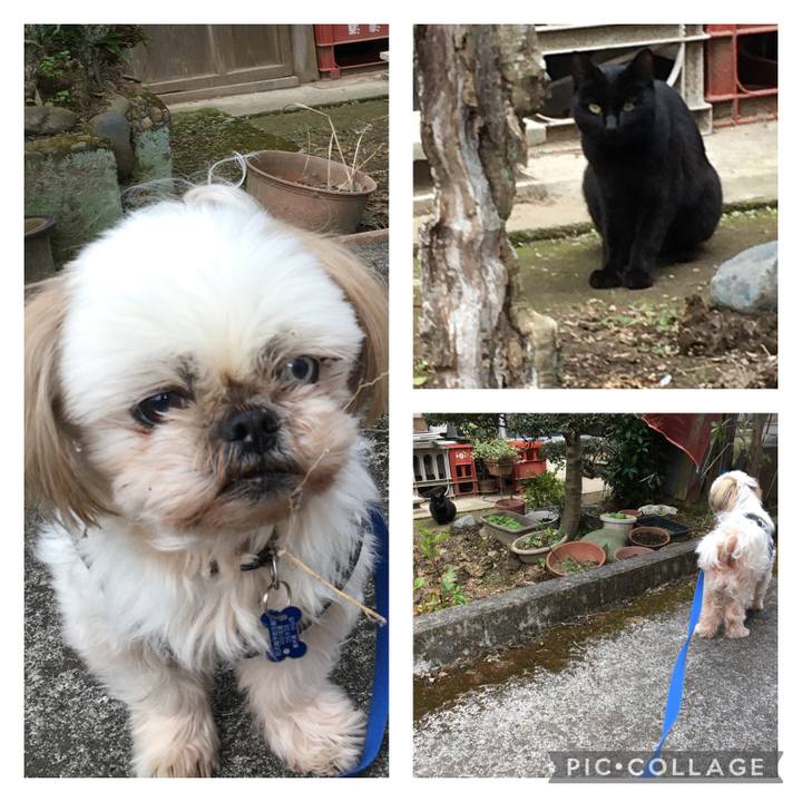 Be23e237 e797 4359 9e4b f31722ab1e3e 1638850261531