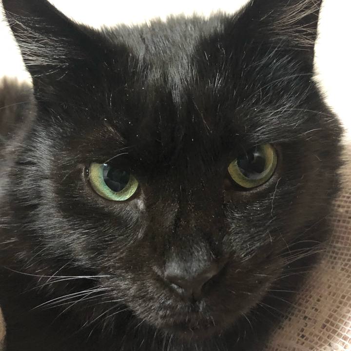 Be23ea72 212b 425d 8abb cde732090fcf 1613730316383