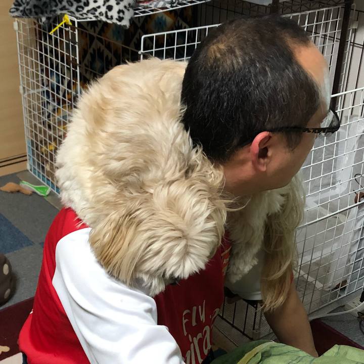 Be23ec2d a1f2 4ef9 bf7f 9415ccdce38c 1514380023790