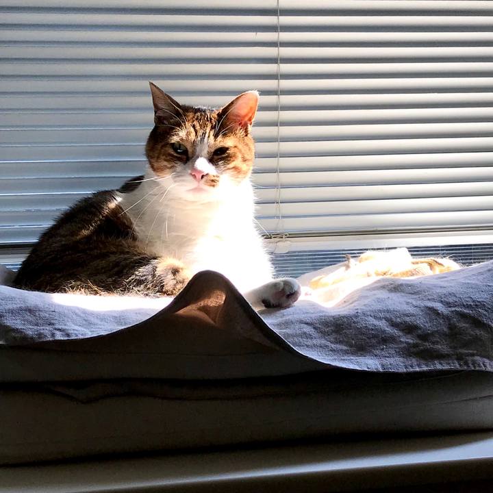 Be23ec69 fbb8 4e96 97f3 ff04e450250b 1597818296786