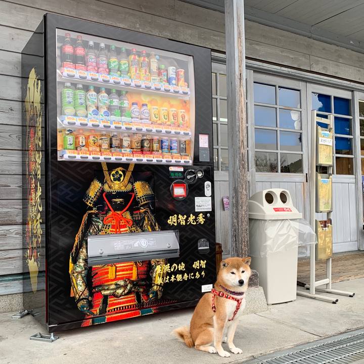 Be23ece6 6495 4655 a863 44b23bf3e44d 1579248971611