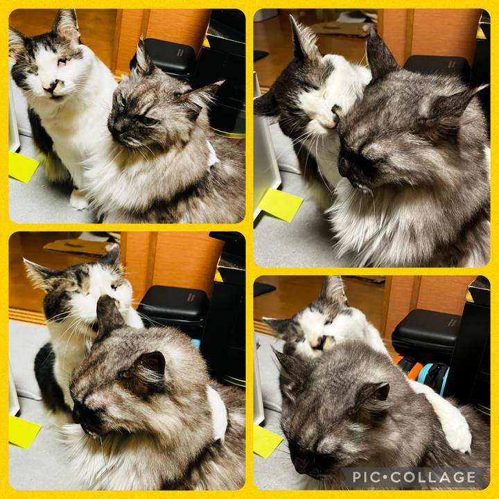 Be240f8e 0805 407d aa59 fe6d28becbef 1746067207524