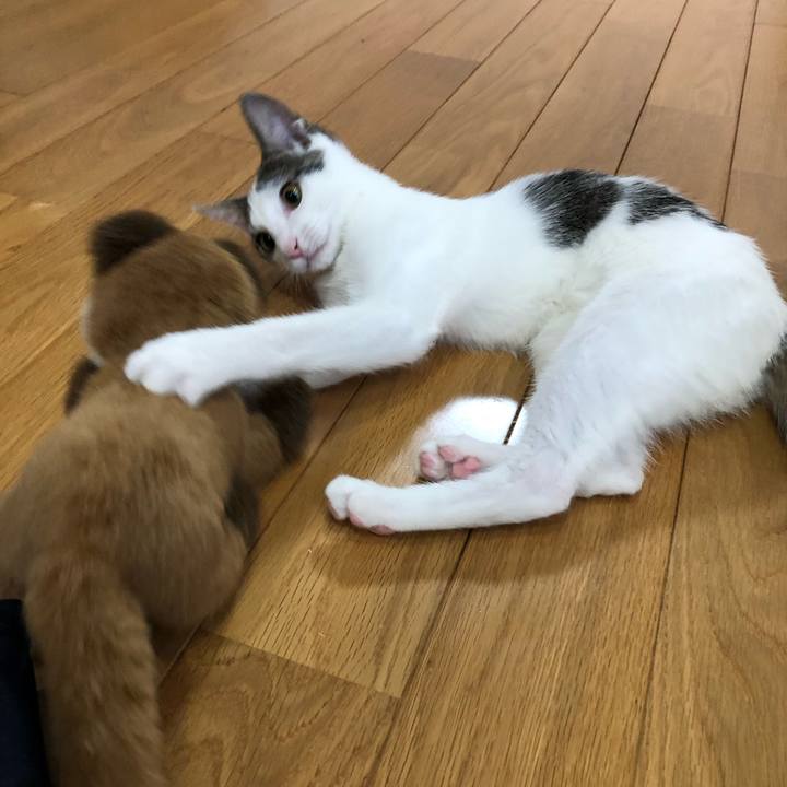 Be24323d 5c0d 4578 8e13 1f8977b7affb 1569971544584