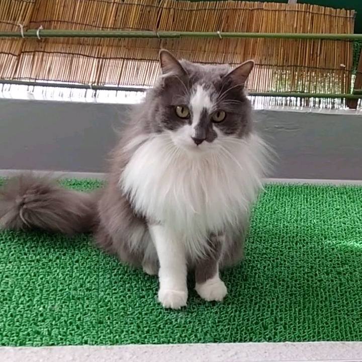 Be2436c1 2ed4 4cfc bfa2 cc1e21a79642 1683275438320