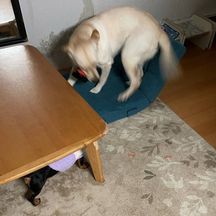 Be246df5 0e07 4374 94ed 4179764e2617 1640382791389