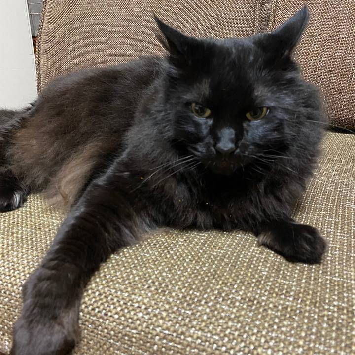 Be24780f 1fb5 4c13 b529 4e3451acf72a 1619740119330