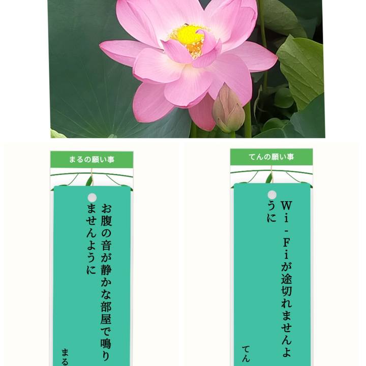 Be2486f0 c1fc 4d0f 8a38 dd9f9538e8d4 1783411913228
