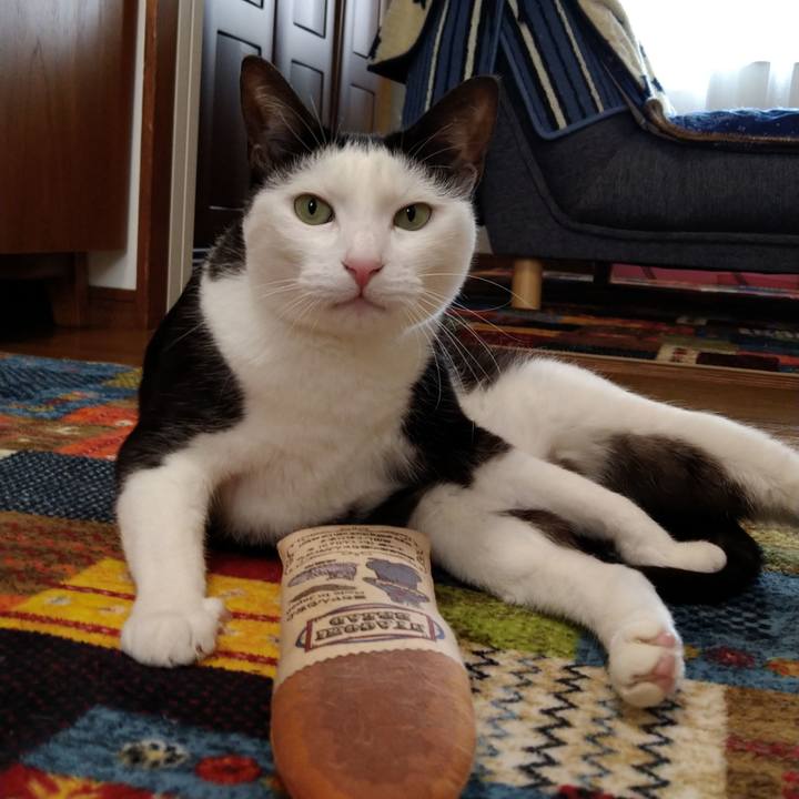 Be24aff5 67be 4b4a a88d c276f8f77e3c 1587432396995