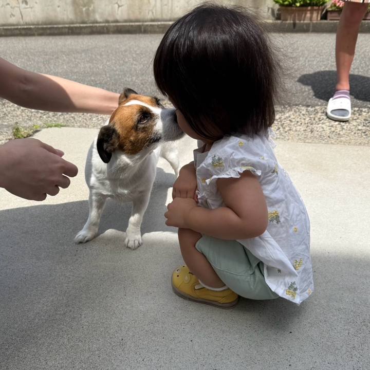 Be24ce0b 55d9 4a35 93c9 ecd66c0cdca4 1752287122889