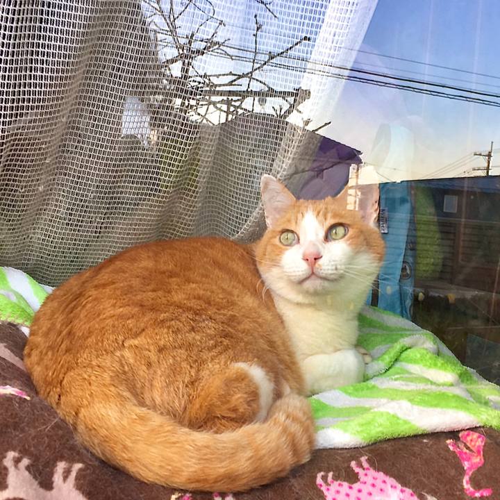 Be2525f1 9156 4836 89d5 fe4b137a03e2 1618268747883