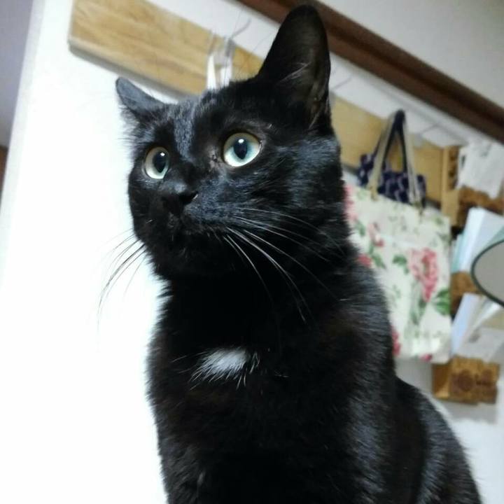 Be253d01 fb19 40a7 8903 35731b46ab12 1520597444423