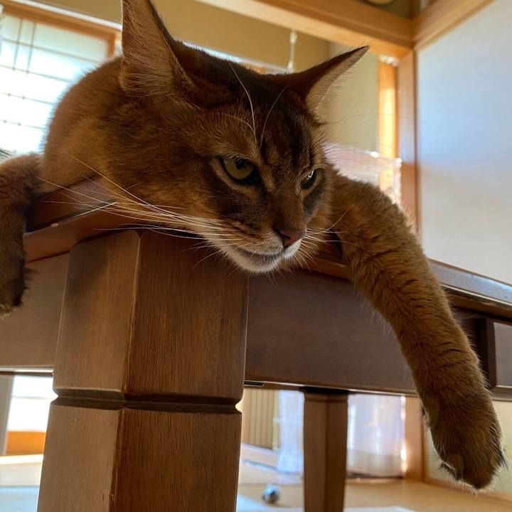 Be2557c8 d8f6 44df 8403 79ee5d8dcc7b 1633915074113