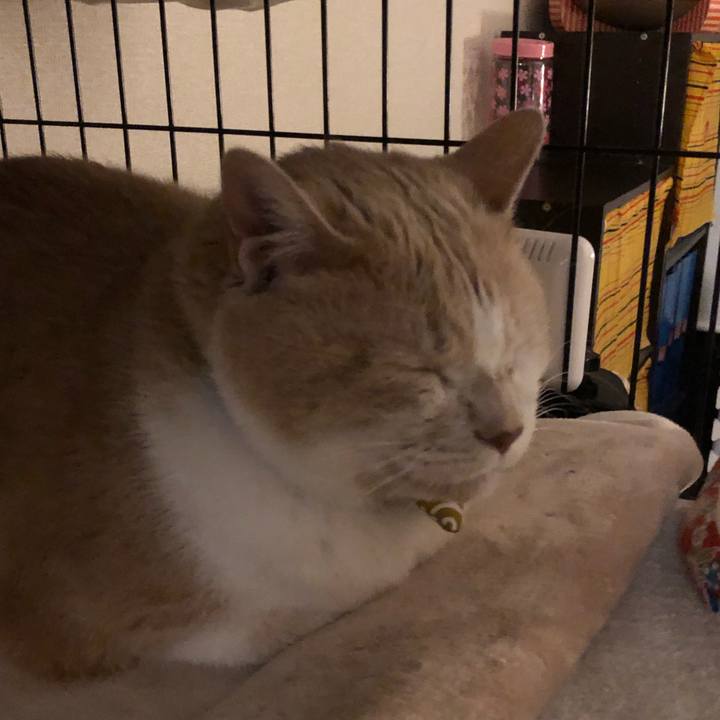 Be2567e1 c747 4278 96d4 8b04a3de80ed 1575458309493