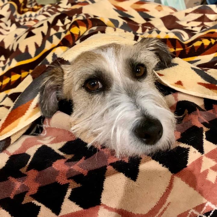 Be25c9ab 3d5e 40c3 aad1 987e2e394260 1666352582026