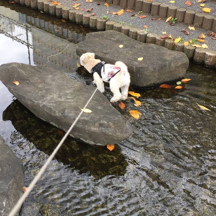 Be25dbfe eb6f 4cce 8f36 0a3a56fda915 1537072462906