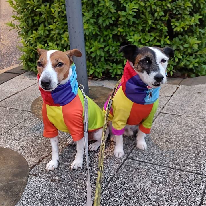 Be261151 f299 4df9 b5dd 89b12d6e51b0 1699306766615